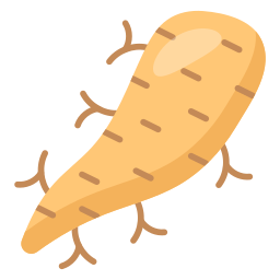 Arrowroot icon