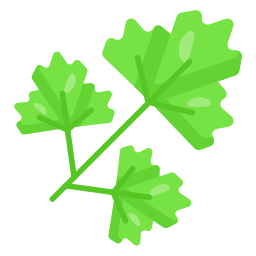 Parsley icon