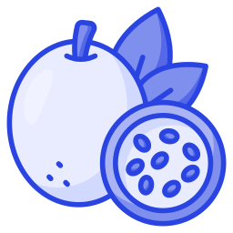 Passion fruit icon