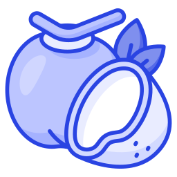 Coconut icon