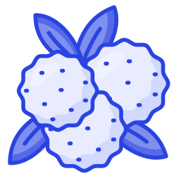 Bayberry icon