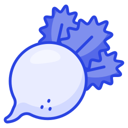 Radish icon