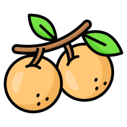 Longan icon