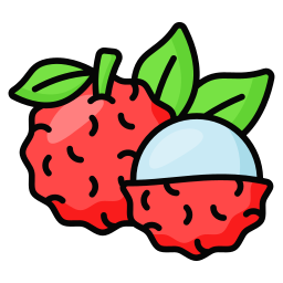 Lychee icon