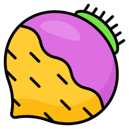 Turnip icon