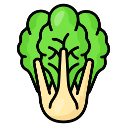 Cabbage icon