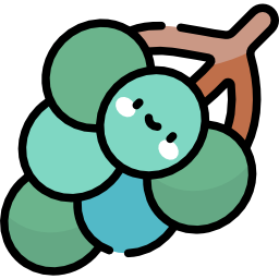 Grapes icon