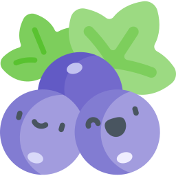 Blackcurrant icon