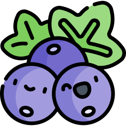 Blackcurrant icon