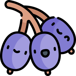 Nannyberry icon