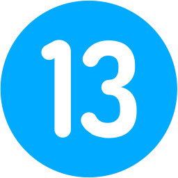 13 icon