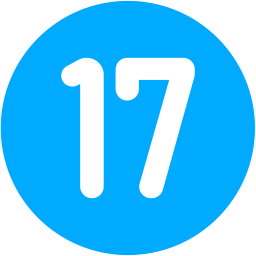 17 icon