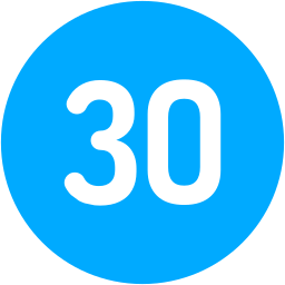 30 icon