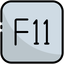 f11 icon