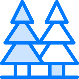 Pine tree icon