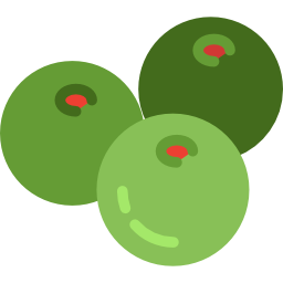 Olives icon