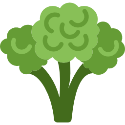 Broccoli icon