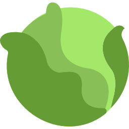 Cabbage icon