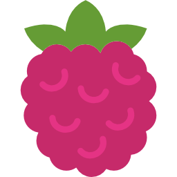 Raspberry icon