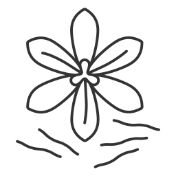 Flower icon