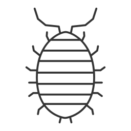 Insect icon