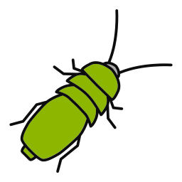 Beetle icon