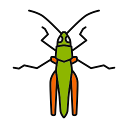 Insect icon