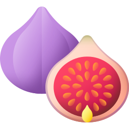 Fig icon