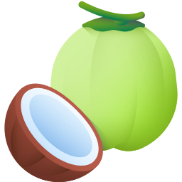 Coconut icon