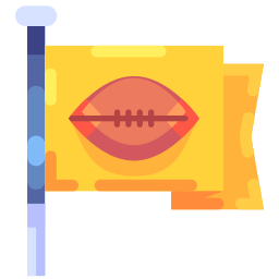 Flag icon