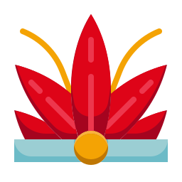 Crown icon