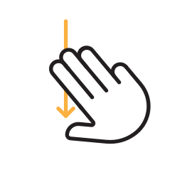 Gesture icon