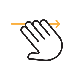 Gesture icon