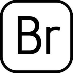 brücke icon