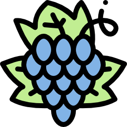 Grapes icon