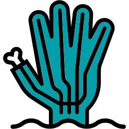 Hand icon