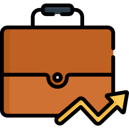 Portfolio icon