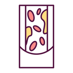 Cholesterol icon