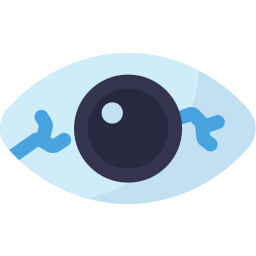 Eye icon