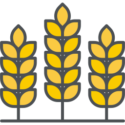 Wheat icon