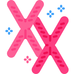 chromosom icon