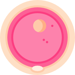 ovule Icône