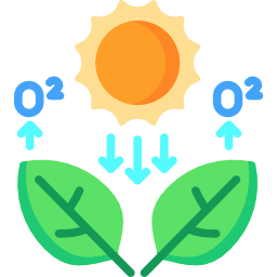 photosynthese icon