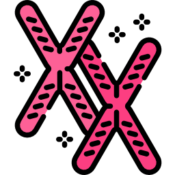 Chromosome icon