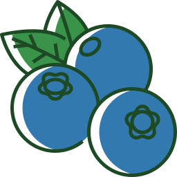 Fruit icon