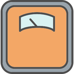 Scale icon