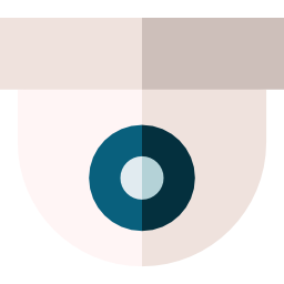 Überwachungskamera icon