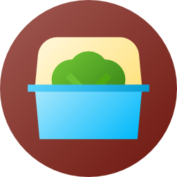 salat icon