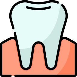 Molar icon