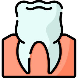 molar icon